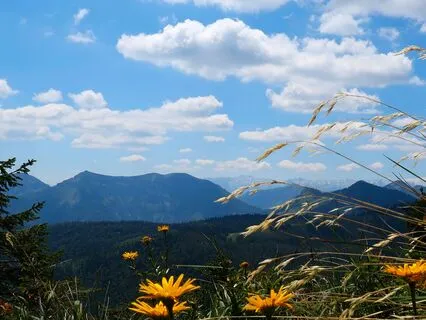 Thank You For This Day