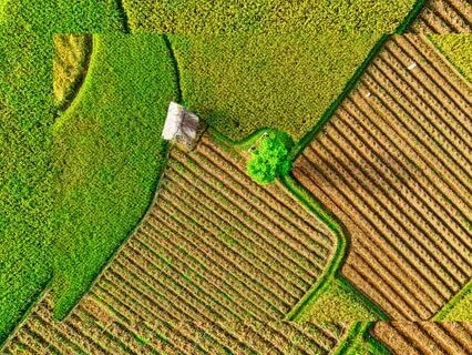 Thank you Lord (a Christian Meditative Prayer)