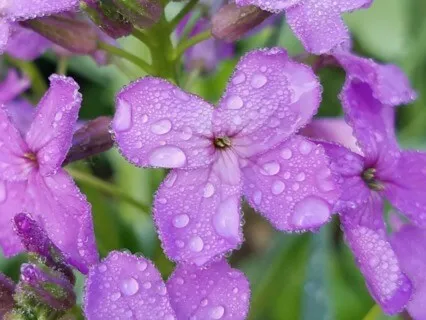 Thank You Prayer By KathyG, The Urban Spirit Guide, Composed By Lee Stavers