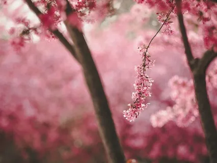 Thank You, Simple: Orienting, Opening And Receiving