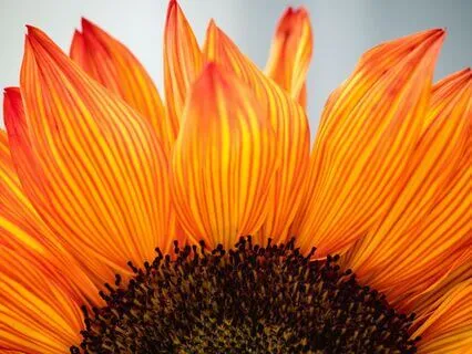 Thank You - Two Little Words