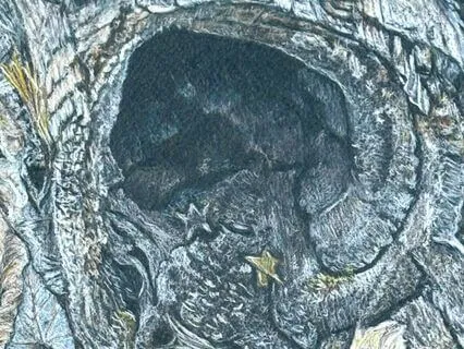 Bedtime Story - Thank Your Lucky Stars