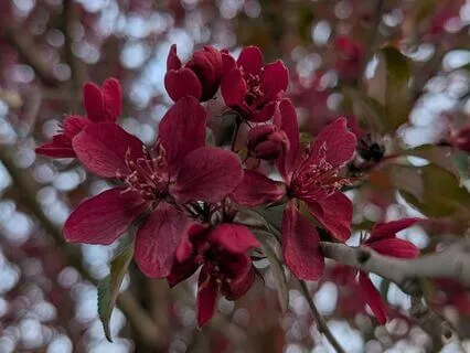 Thank Yourself And Experience Self-Love 528 Hz