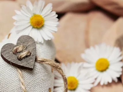 Thankful Hearts (Piano Based Practice)