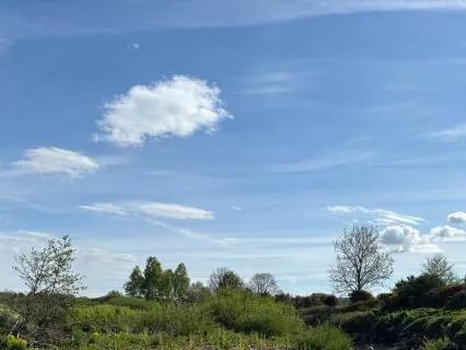 Thanking The Day In Advance: A Morning Practice (Voice Only)