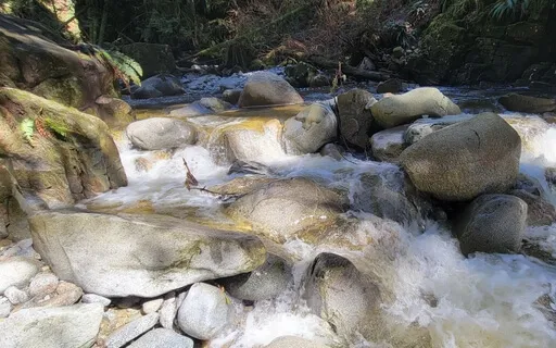 Thanks For Showing Up