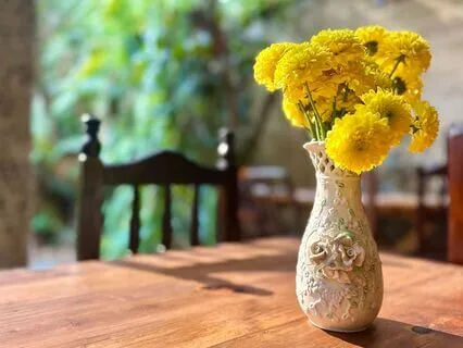 Thanks Gratitude Practice Song