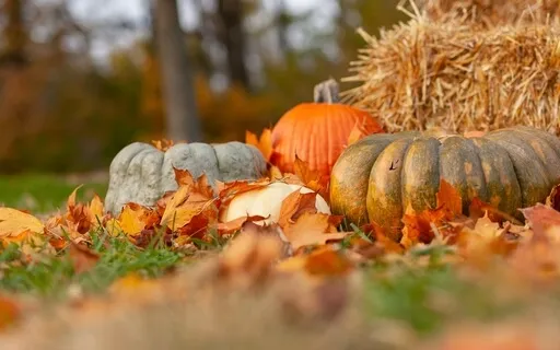 Thanksgiving Meditation