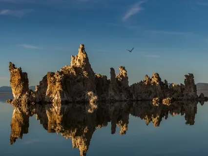 That Darn Ego - Oh What A Gift!