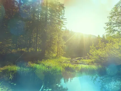 That Sunday Feeling - Do You Have It? | The Wisdom Podcast (Season 1 Episode 11)