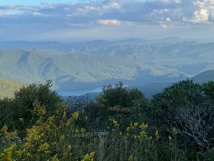 Thawing Out Of Freeze