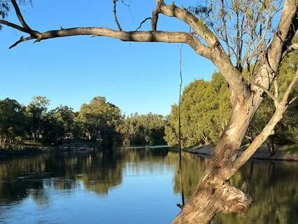 The 10-Minute Breathing Meditation (With Music)