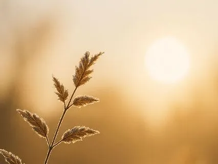 The 16-Minute Compassionate Body Scan