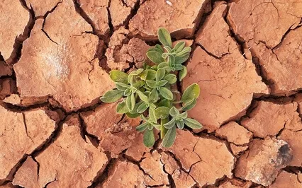 The 3 Gunas; Using Them For A Better Earth