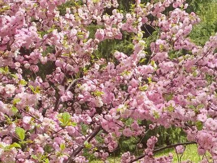 The 3 Minute Gratitude Practice