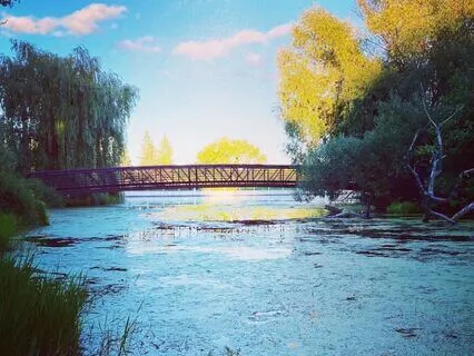 The 3 Minute Stress Reliever