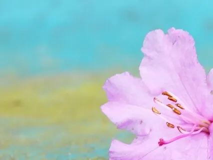 The 3 P's - Tools To Conquer Negativity!