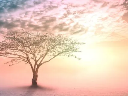 The 3 Stages Of Human Consciousness