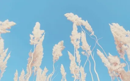 The 3 Stages Of Stoic Enlightenment