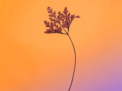 The 3-Step Breathing Space