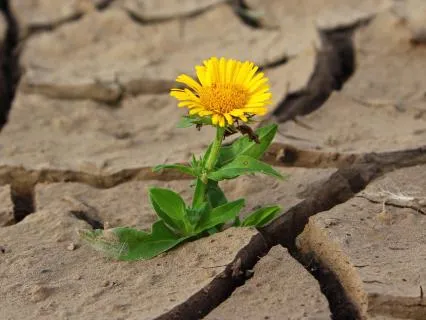 The 3 Steps Of Healing