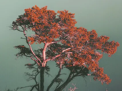 The 4 Fundamentals Of Meditation