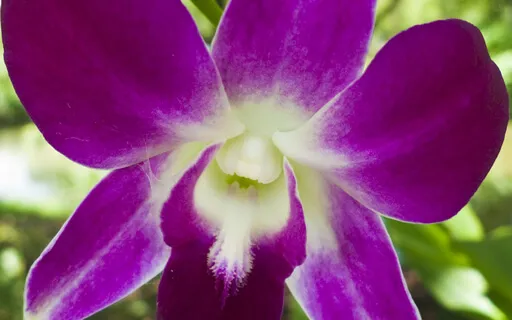 The 5 Hindrances To Meditation Focussing On Ill Will 