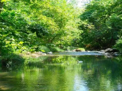 The 5 Minute Exit — A Fast Reset For Busy Minds