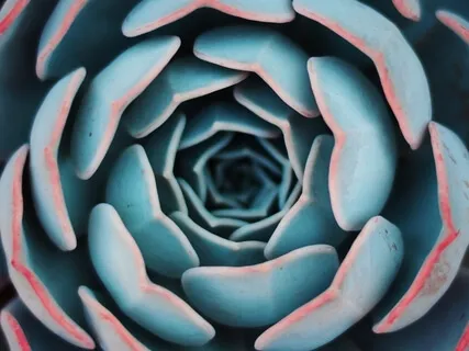 The 5 Minute Mini Meditation