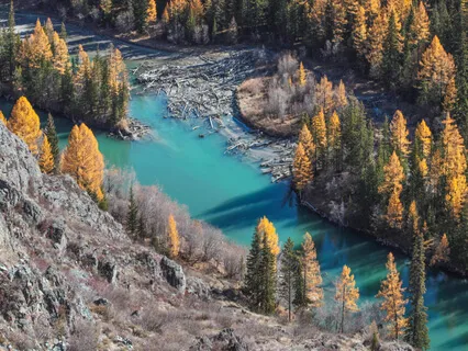 The 7 Factors Of Awakening: Exploration