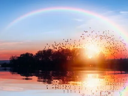 The 7 Freedoms Of The Chakras