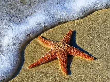 The 7 Patterns That Block Healing And How To Shift