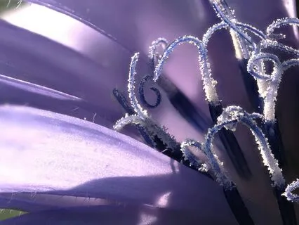 The 99 Names Of Allah - A Contemplative Meditation