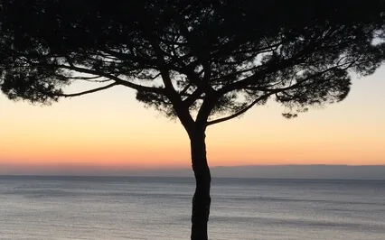 The ABC Of Happiness, And It's Not What You Think It Is