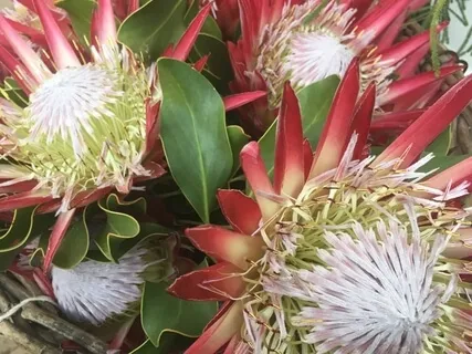 The ABC of Mindfulness