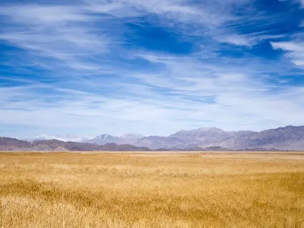 Endless Bliss & Abundance | 30 Day Challenge Sonic Vitamin