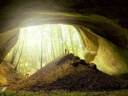 The Abundance Portal! 369 Hz Tuning Fork + 777 Hz + 888 Hz