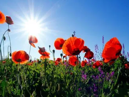 The Abundant I Am