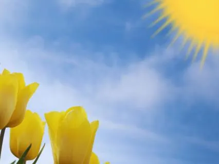 The Abundant Soul–Affirmations - Finding Space For Clarity