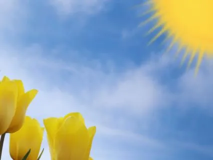 The Abundant Soul – Affirmations – Kindness For Your Dreams