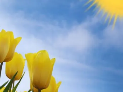 The Abundant Soul–Affirmations–Meeting Disappointment Gently