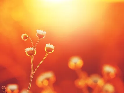 The Acceptance Meditation (Feel Good And Find The Benefit)