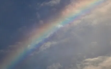 The Activation Energy Wheel Of The Rainbow