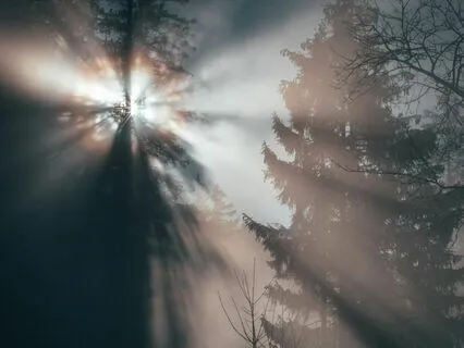 The Alchemical Mix#4 | Air | Slow-Flow Vinyasa