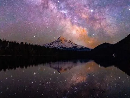 The Alchemist, A Book That Nourishes Your Soul :Book 1