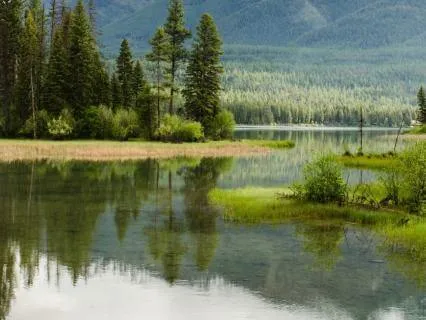 The Alchemy Of Self Love