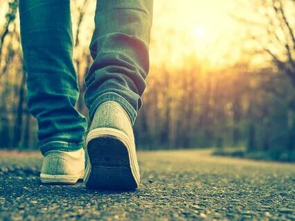 The Alchemy Of Walking