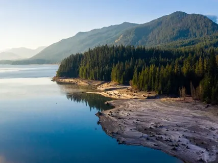 The Aliveness Of The Heart