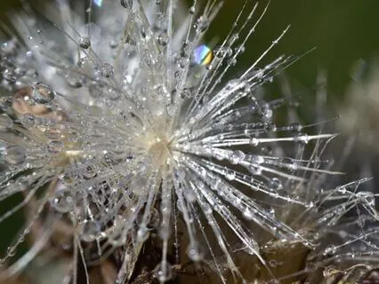 The Allure Of The Easy Answer - Mini-Lesson & Practice