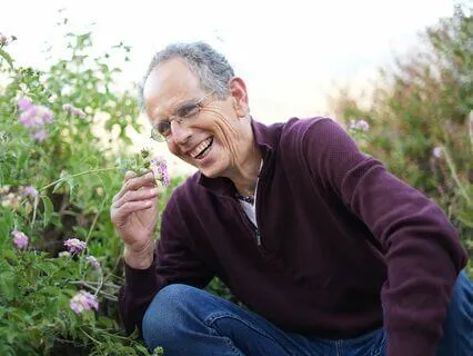 The Anatomy Of The Human Energy Body